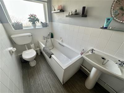 Picture 15